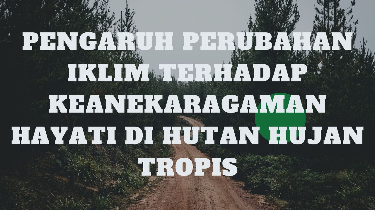 Pengaruh Perubahan Iklim Terhadap Keanekaragaman Hayati Di Hutan Hujan ...